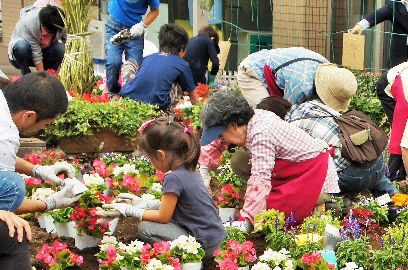 中原区役所で親子の花植え体験開催 5月25日 土