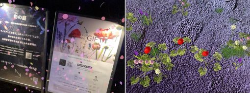 コンテンツへ移動 新着情報 ニュースリリース パブリシティ Topへ戻る 古い投稿 喫茶ルーブ で楽しむこだわりの空間と時間 22 5 17 弊社が所有 管理する物件の植栽整備で長年お世話になっている造園会社 根本グリーン の代表 根本氏が