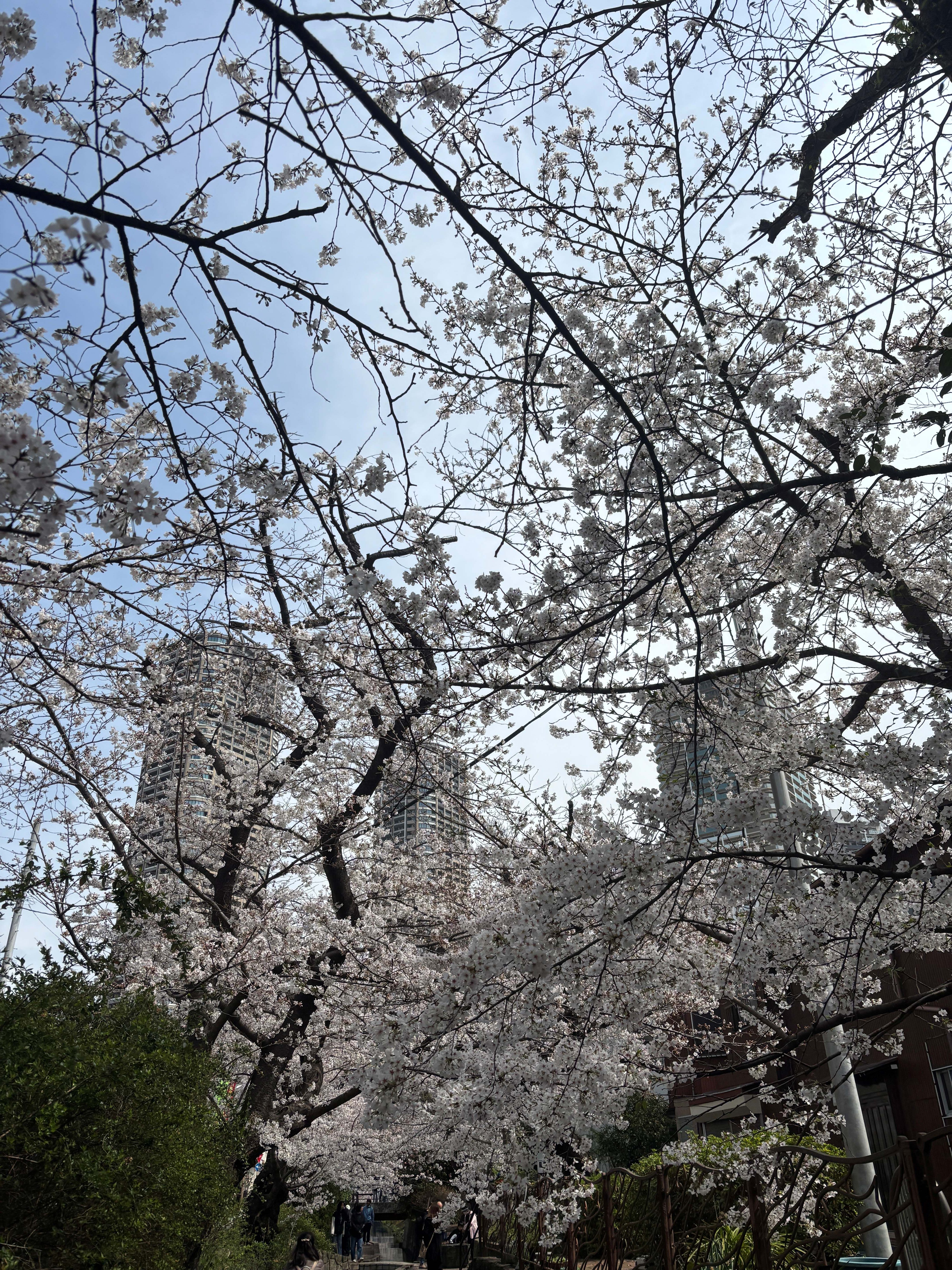 過去の会場付近の様子